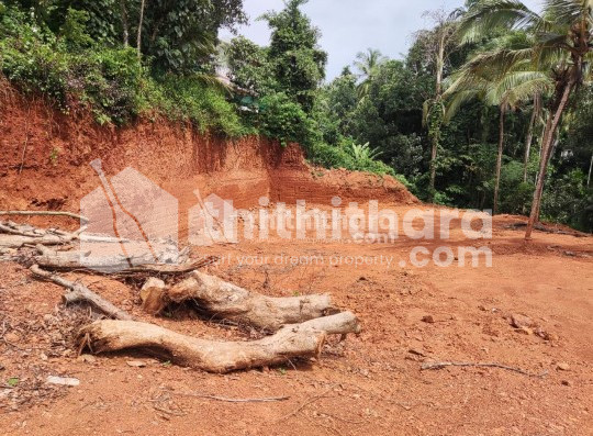 കാലിക്കറ്റ് സർവകലാശാല ബോർഡറിനടുത്ത് 36 സെന്റ് സ്ഥലം വിൽപ്പനക്ക് 