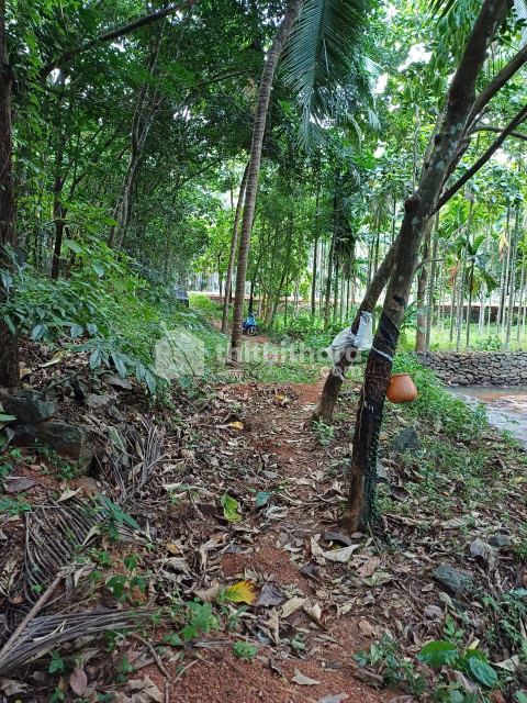 Residential land for sale at Elankur Malappuram