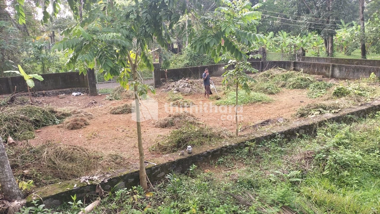 Residential Land near Angamaly