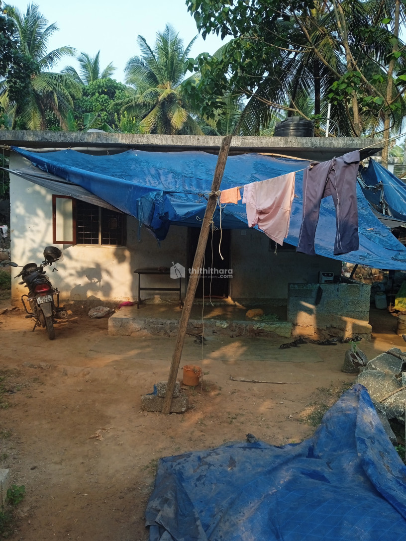 7.5 cent 250 sq.ft house for sale in Panayi, Balusseri