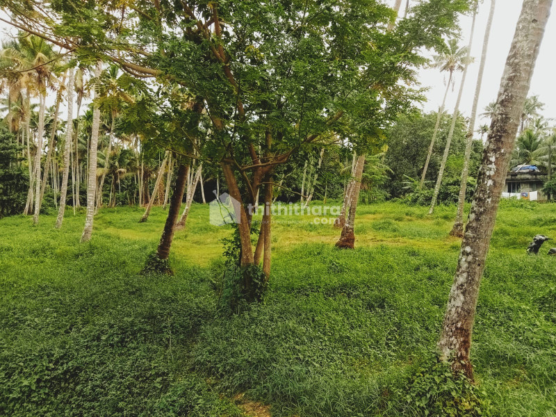 Residential land for sale at Triprayar Thrissur
