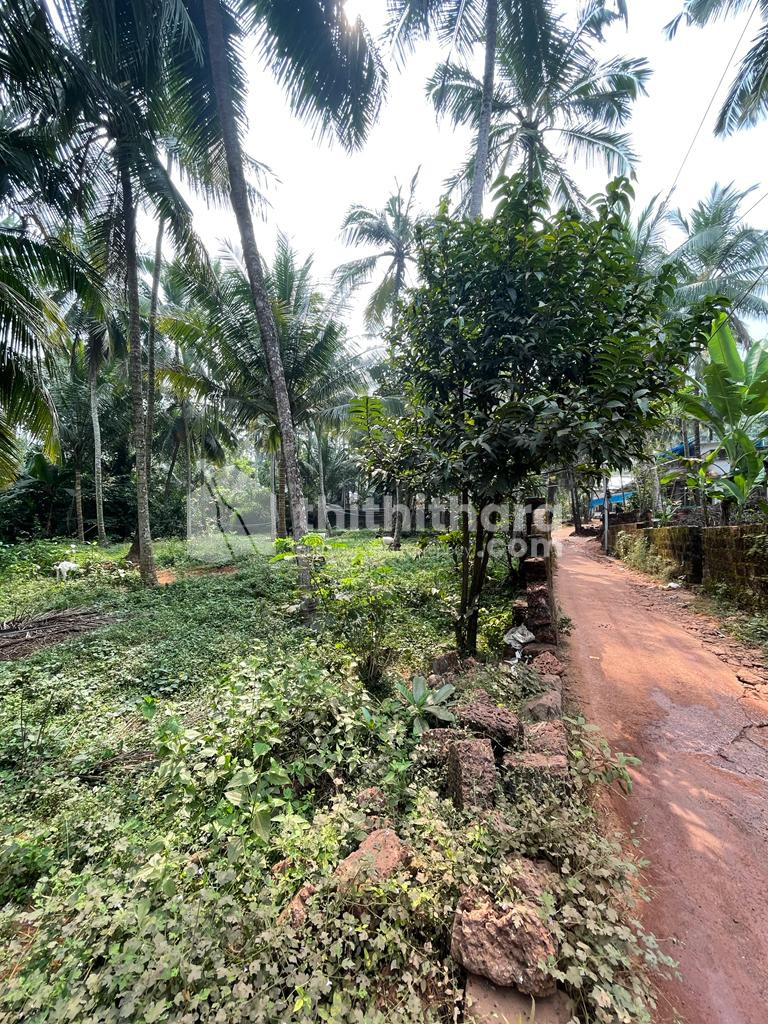 House Plot for Sale in Kondotty