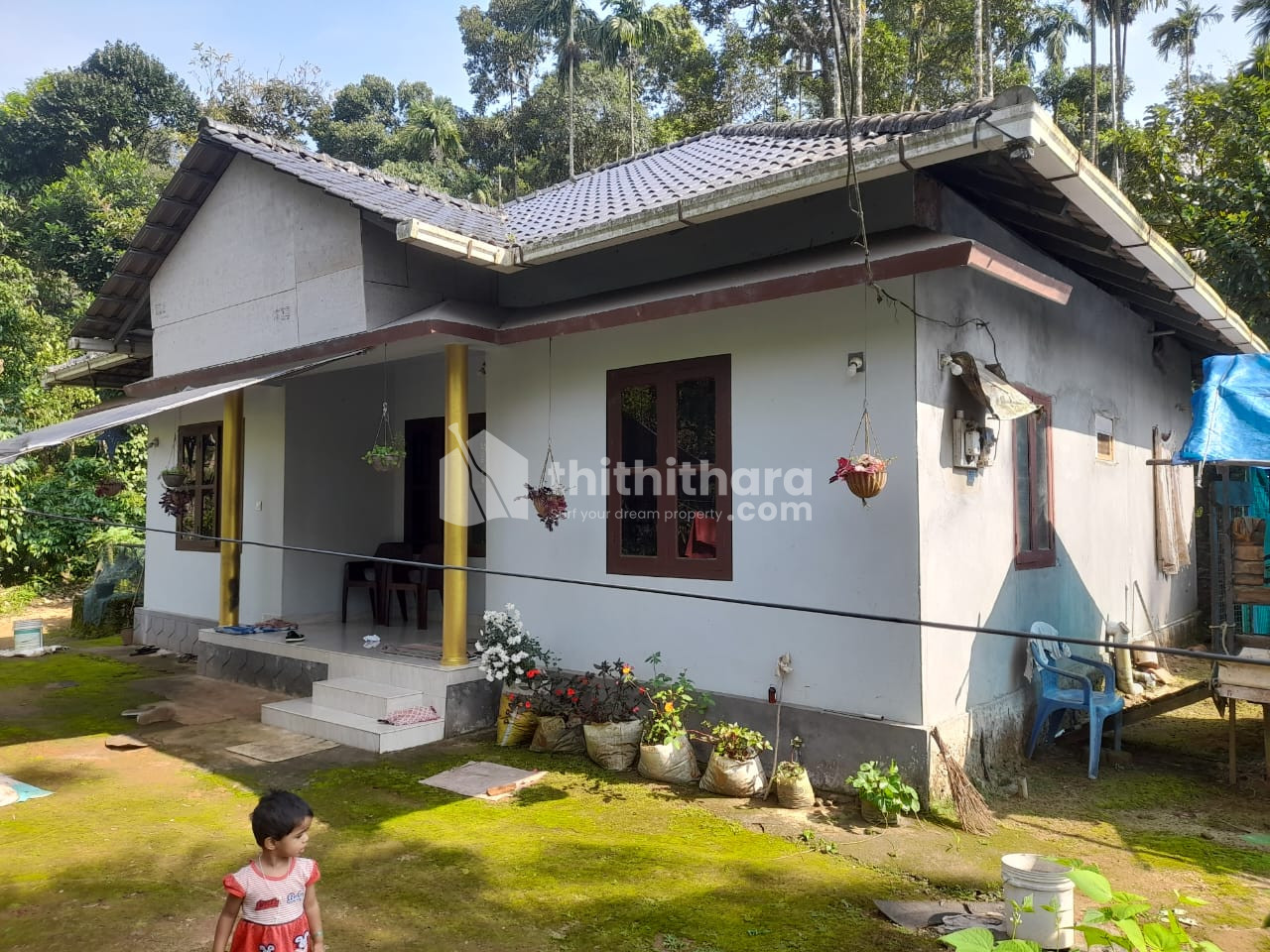 137 cent plot sale in 8th mile, Vythiri