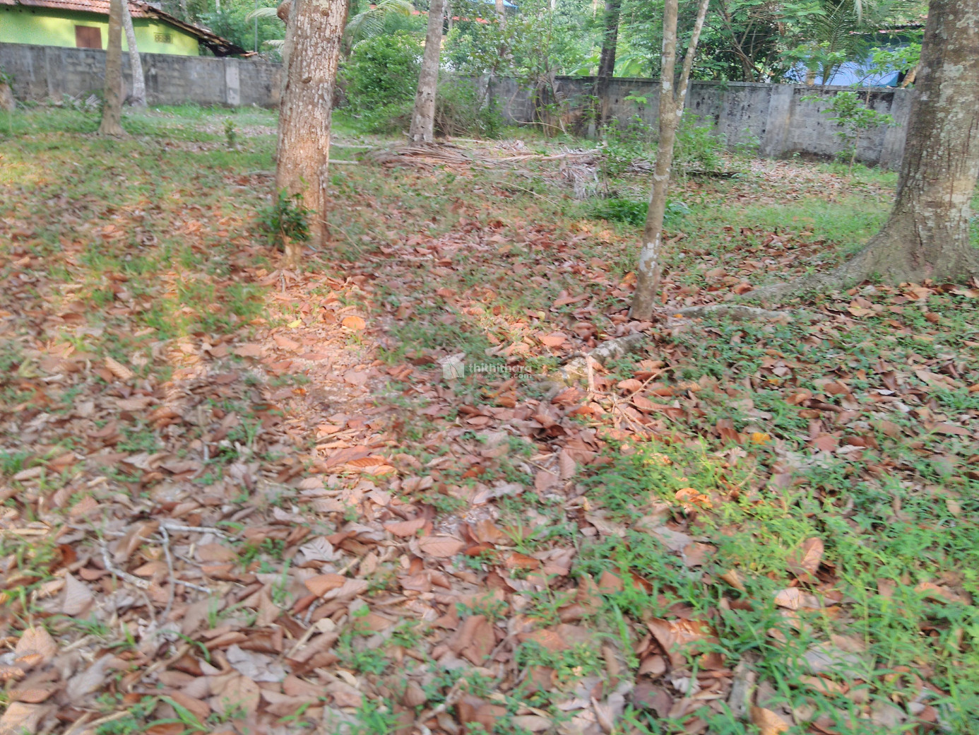 Residential land for sale in Alappuzha Pathirappally.