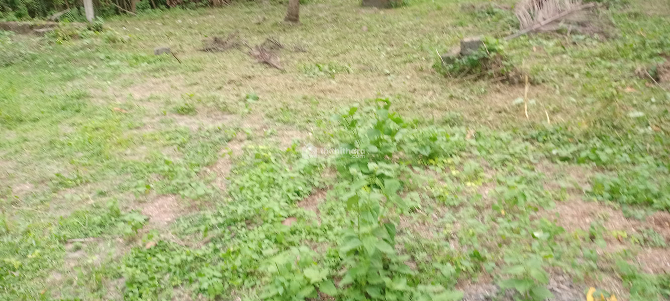 Aroor poochakkal 30 cent plot for sale