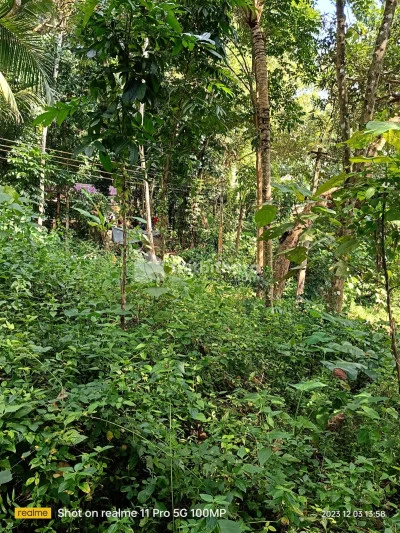Residential Land for sale in Trivandrum