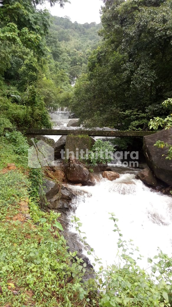 17acres at Elamcadu, Kottayam district.