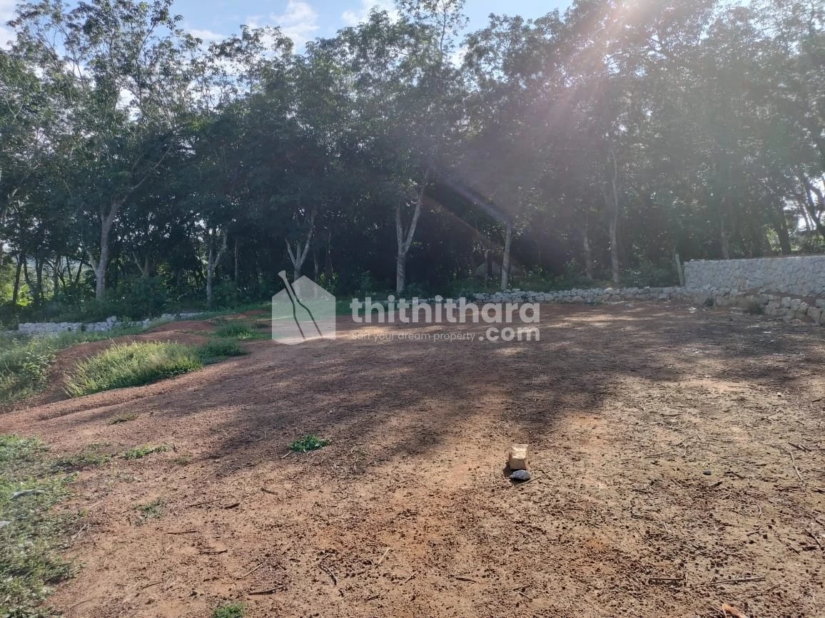 5 cent premium house plot for sale in Pothencode, Trivandrum 