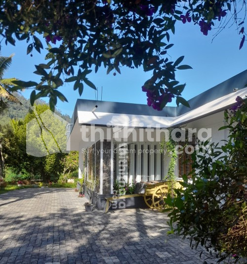 4BHK Independent House and 2.25 acres land in Kunchithanni, Udumbanchola