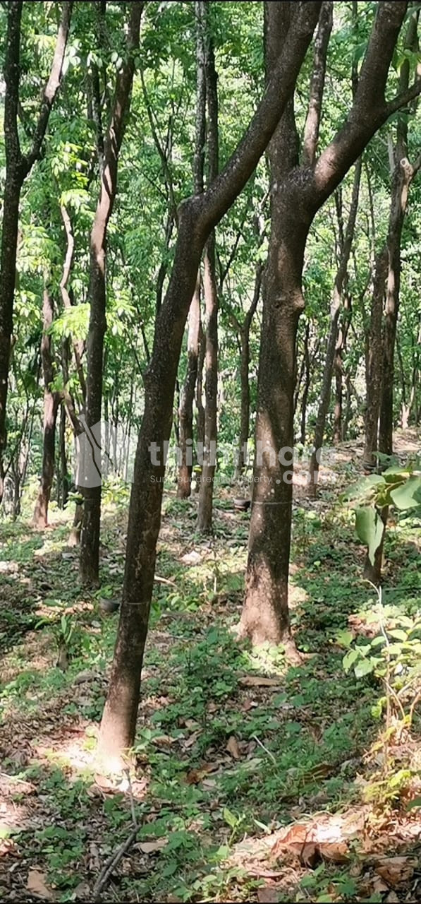 Plot for sale near Vagamon