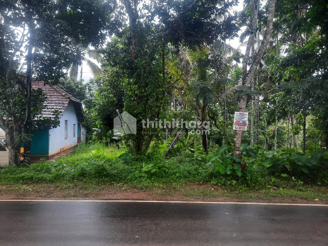 20 Cent Residential Plot for Sale in Cheeral, Wayanad 