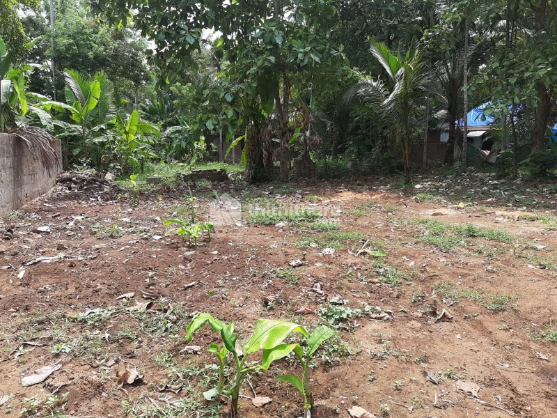 Residential Land for sale in Aluva, Ernakulam