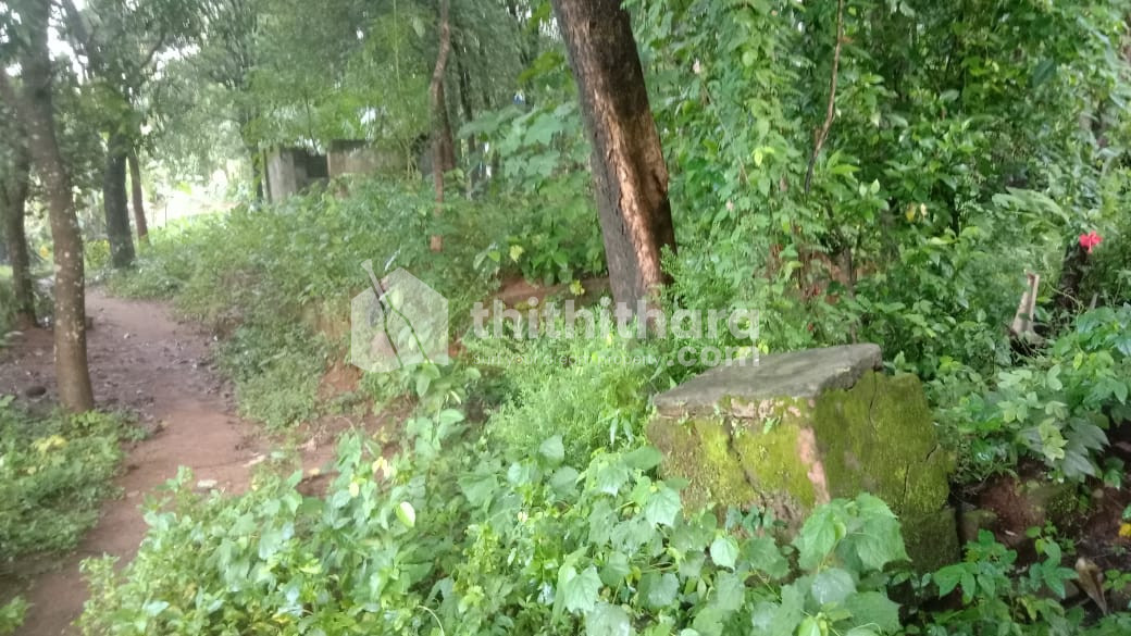 Residential land for sale at Pathanapuram Palakkad