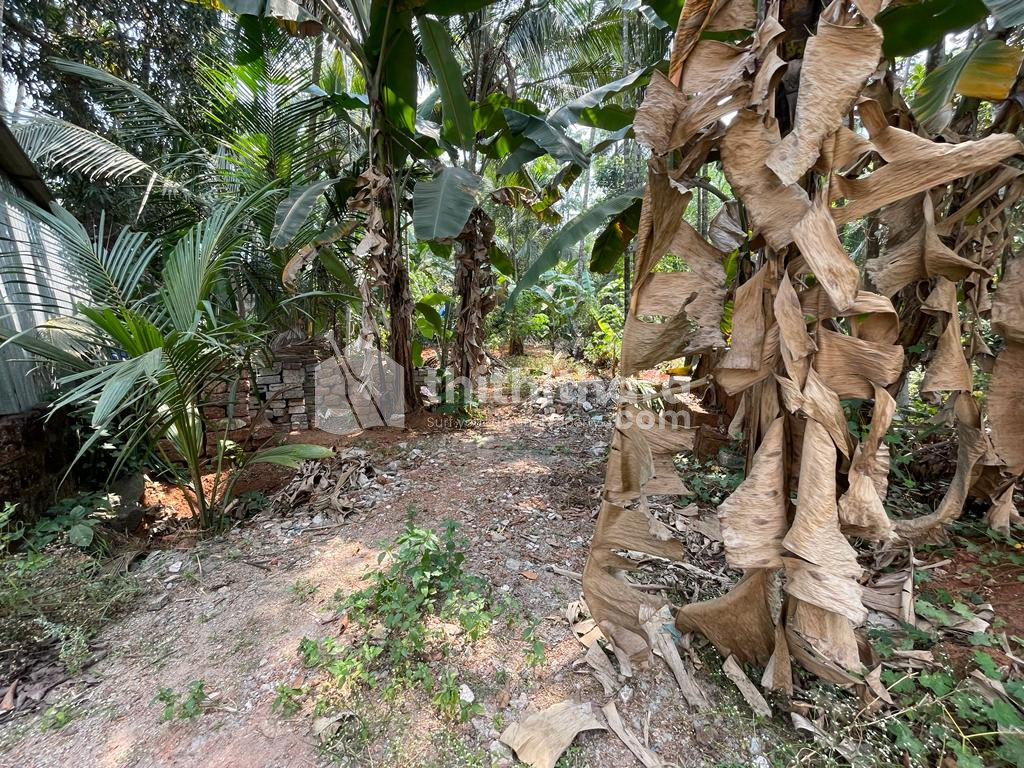 13.60 cent residential land on high profile area at Kondotty