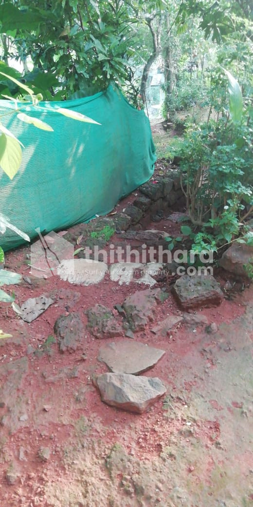 Residential land for sale at K T Thazham Kozhikode