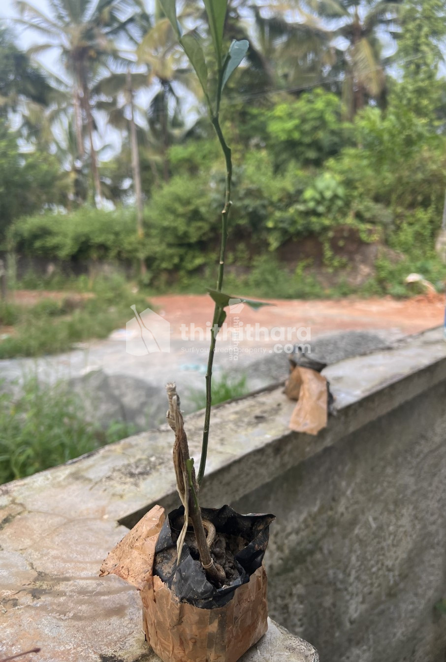 Plot for sale in Vengeri, Kozhikode 