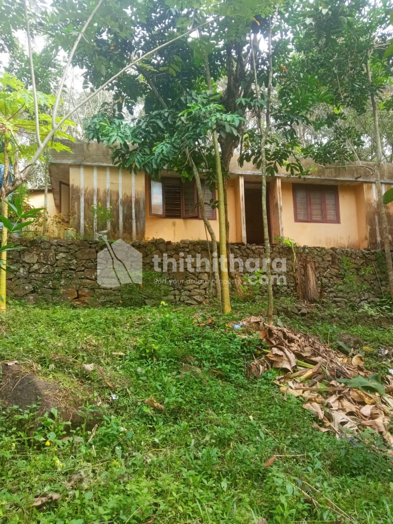 1.65 acre Land with 800 sqft House for Sale in Ranni, Pathanamthitta