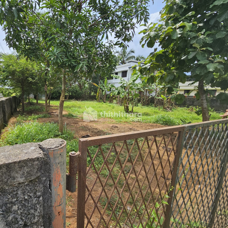 Land for sale in Chelakotukkara
