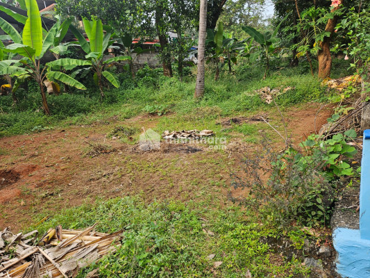 Land for sale in Chembukkavu
