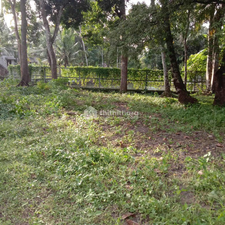 Residential land for sale at Karunagapally Kollam