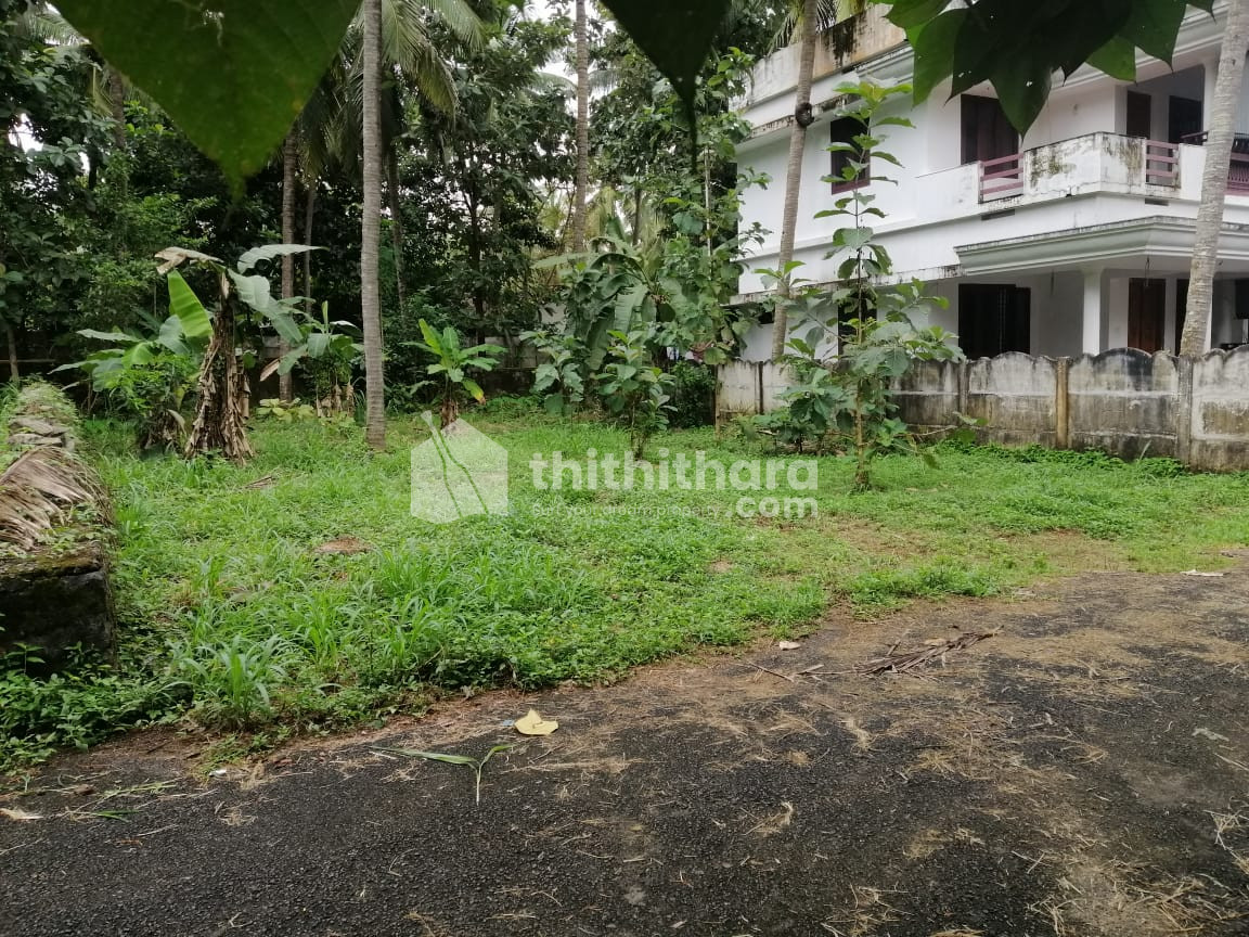 Land for sale in Kuttanellur