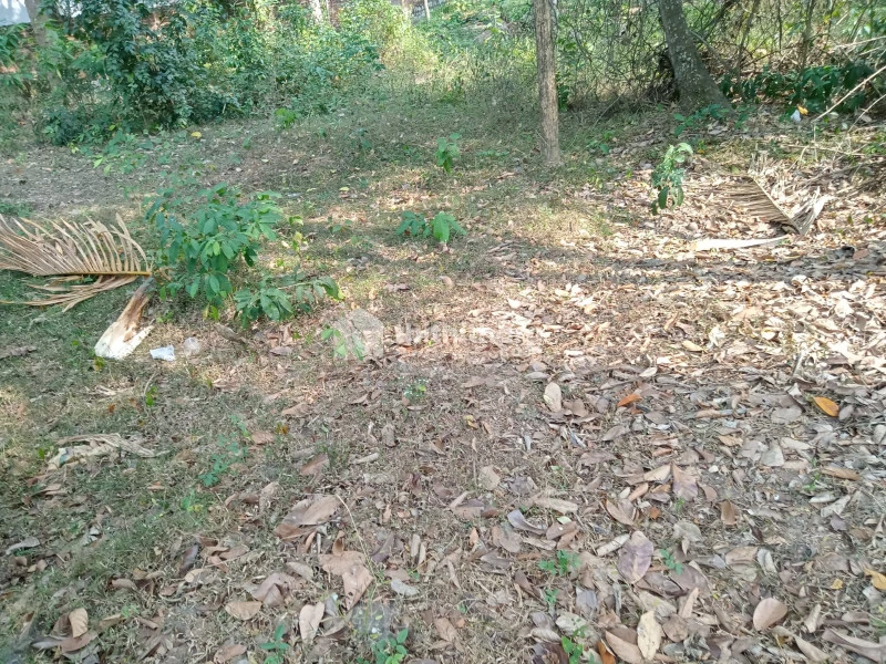 Land for Sale in Attingal, Trivandrum