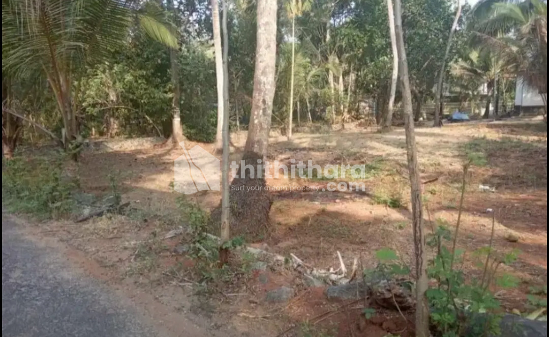 13.5 cent Land for sale at Chilanka Beach Road Vadanappally 