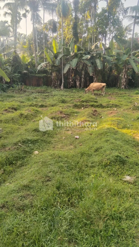 Residential land for Sale in North Paravoor, Ernakulam Dist. 