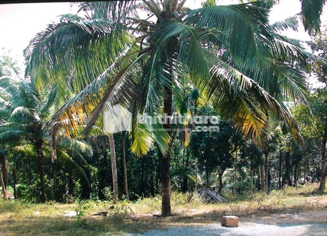 House plot  for sale, Pathaikara, Perinthalmanna 