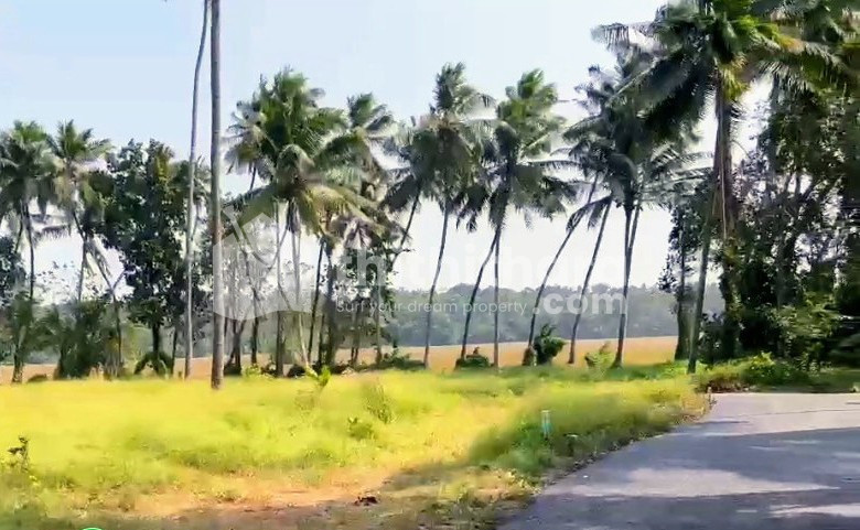 PLOTS FOR SALE IN PORKULAM, THRISSUR