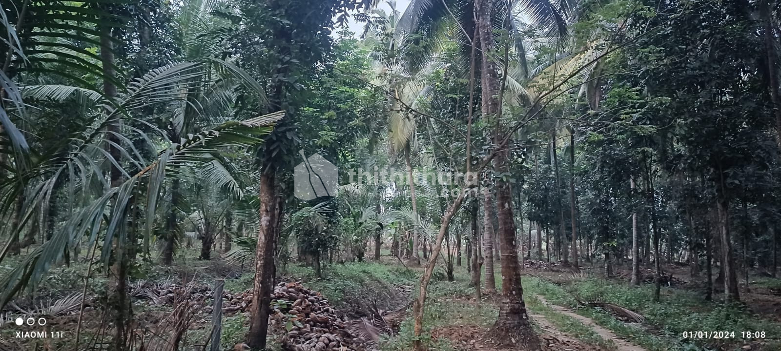 Agricultural land for sale at Pattambi Palakkad