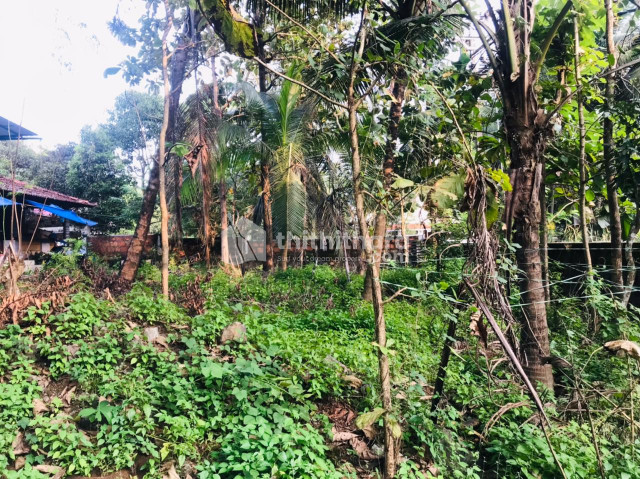 Commercial & Residential  Plot For Sale at Nilambur