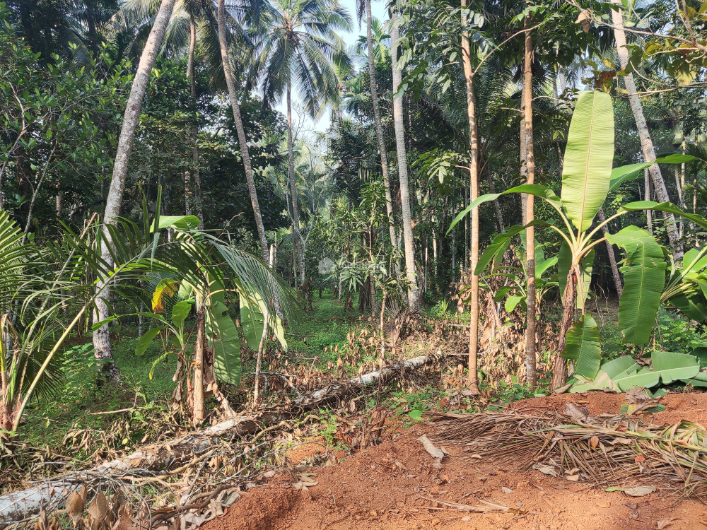 സ്ഥലം വിൽപ്പനക്ക് കാലിക്കറ്റ് യൂണിവേഴ്സിറ്റി
