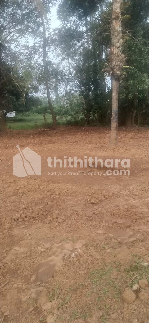 3 Cents House Plot for Sale in Kalamassery, Ernakulam