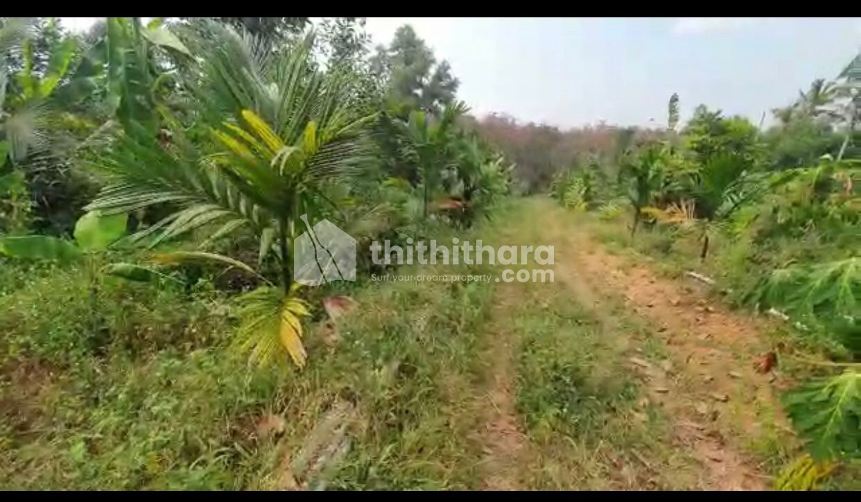 Agricultural Land for Sale in Kattakkada, Trivandrum