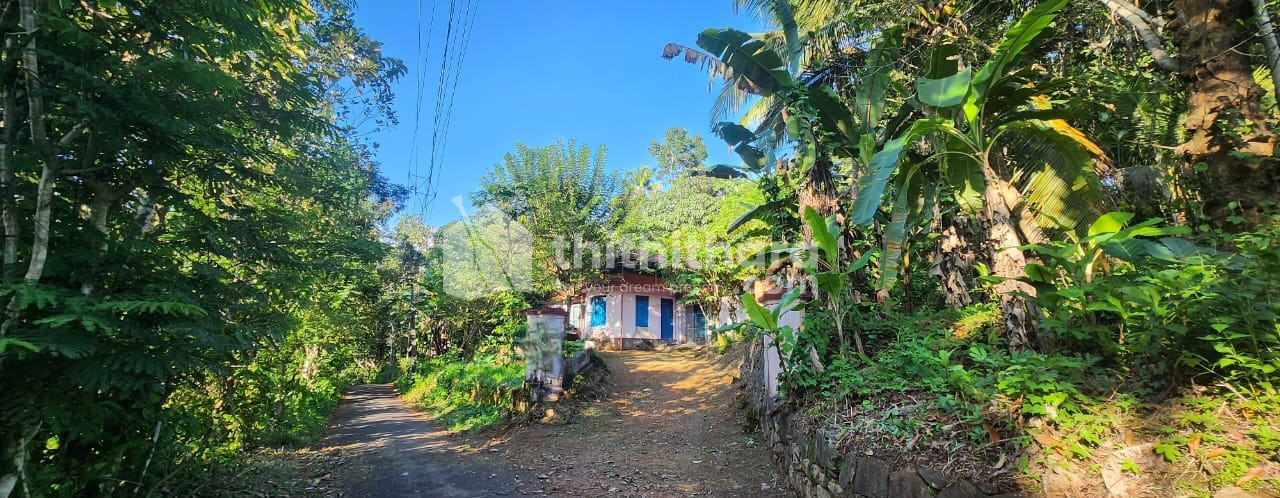 30 cent Residential Land for Sale in Mallapally