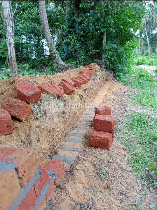 COCONUT PLANTATION SUITABLE FOR FARM HOUSE AT PINARAYI, KANNUR