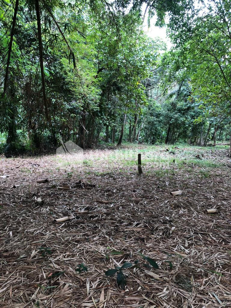 WATER FRONT LAND IN KOTTAYAM TOWN 