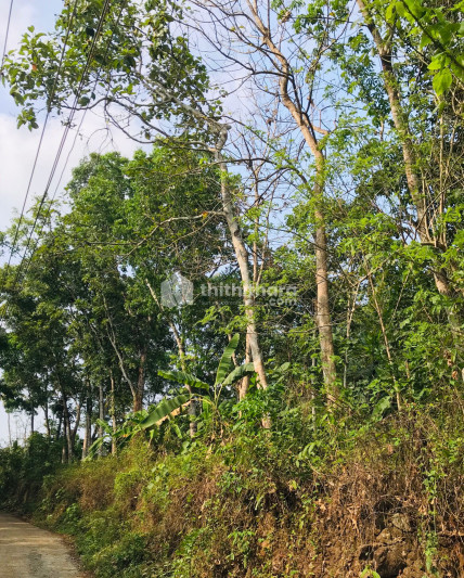 2 acres of land for sale in roadside, Puthupally  