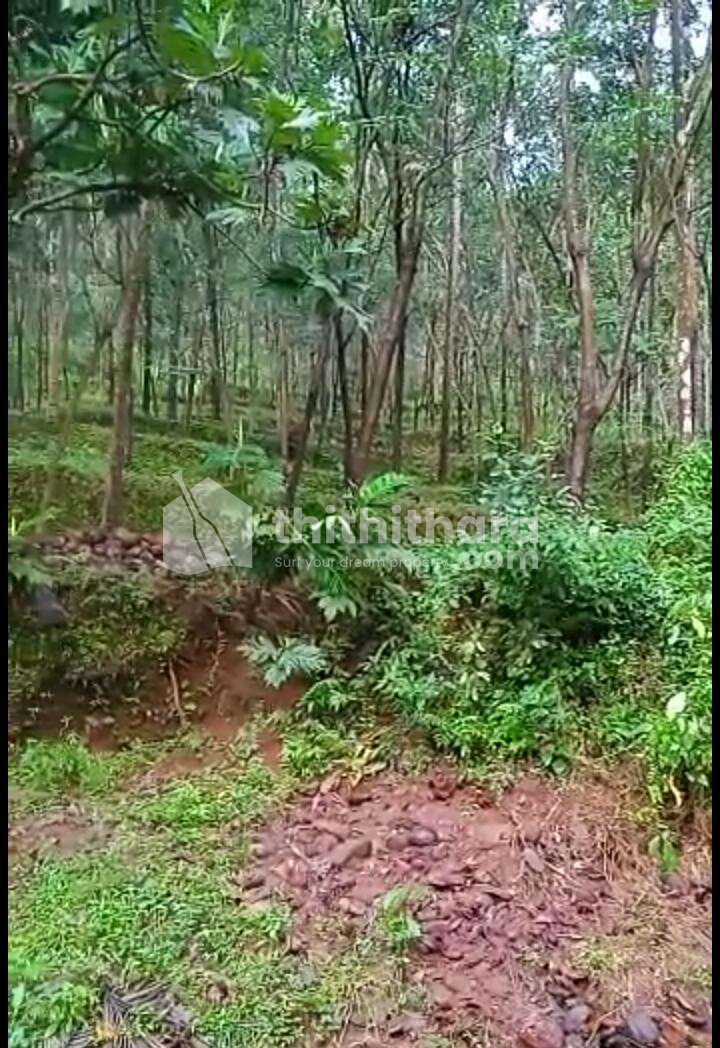 16 acre land for sale at Kuttiadi, Kozhikode