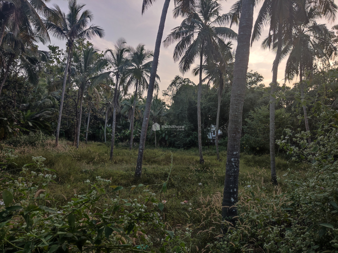 മലപ്പുറം ചേളാരിയിൽ  ബിൽഡിങ്ങിന് അനുയോജ്യമായ സ്ഥലം വിൽപ്പനക്ക് 