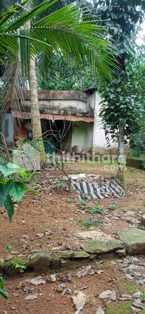 House for Sale in Kanjirapally, Kottayam