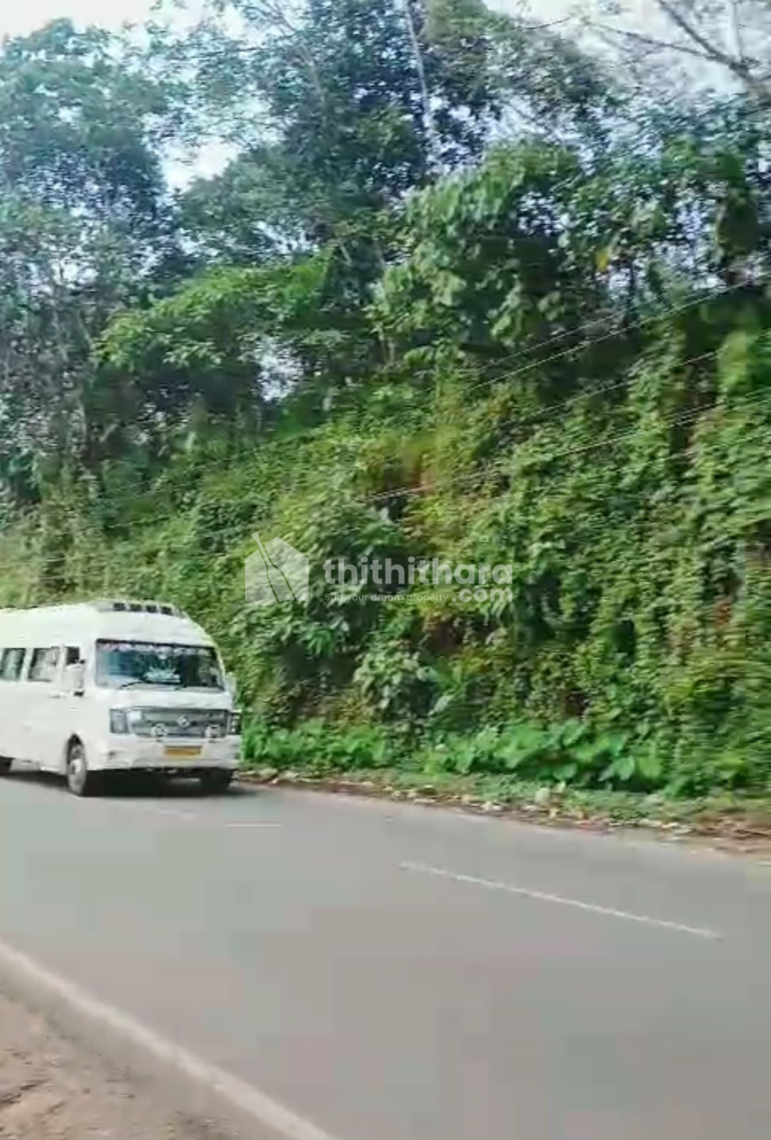 Commercial Plot for Sale in Ranni, Pathanamthitta