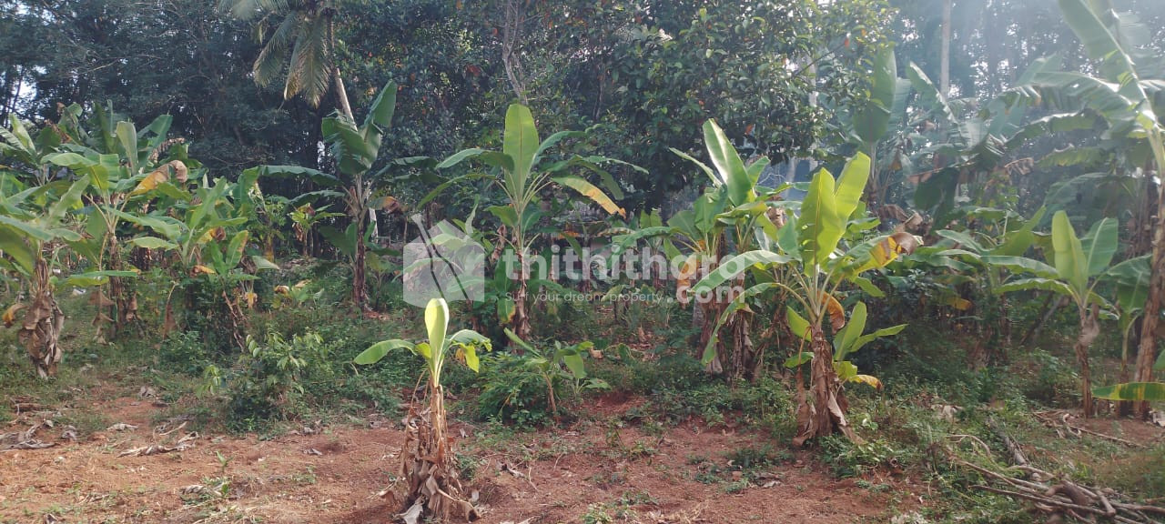 Land for Sale in Kudavattoor, Kottarakara, Kollam