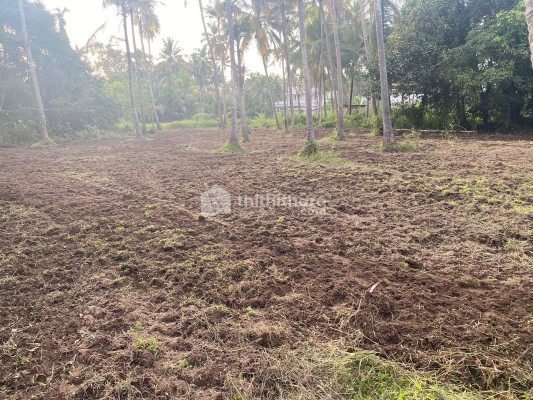 Residential land for sale at Kodungallur Thrissur