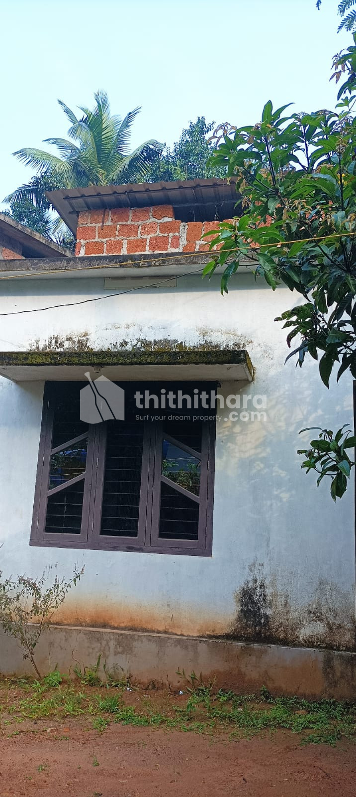 Residential House for sale at Vellachal Kannur