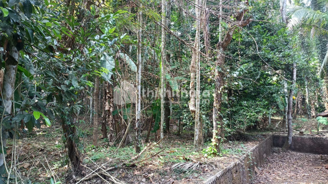 1 acre land for sale in Melattur 