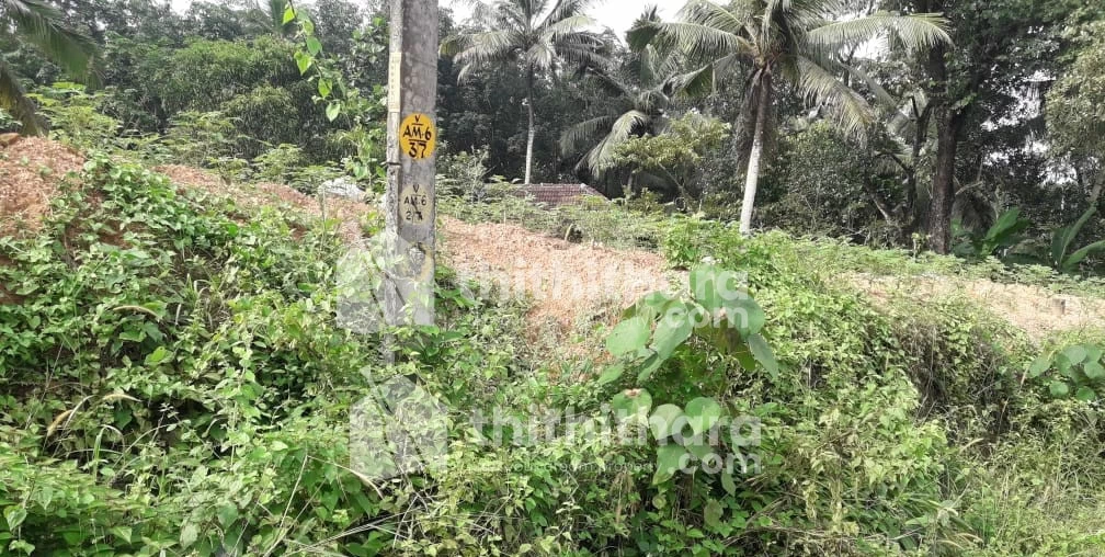 8 cent Land for sale Near Aruvikkara HS JN