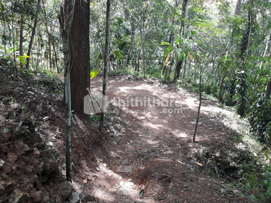 Agricultural Land for sale near vellanad,Valiyara 