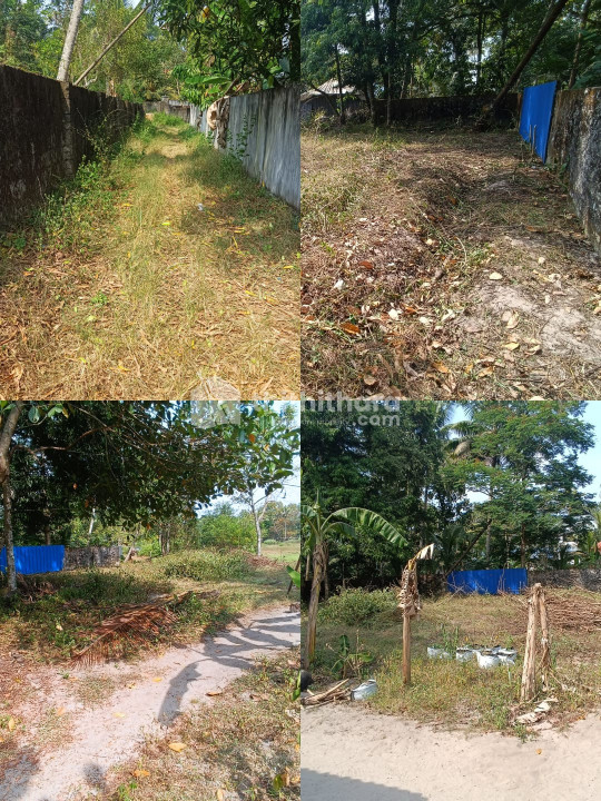 9.3 cent Land For Sale Near Cherthala Infopark 